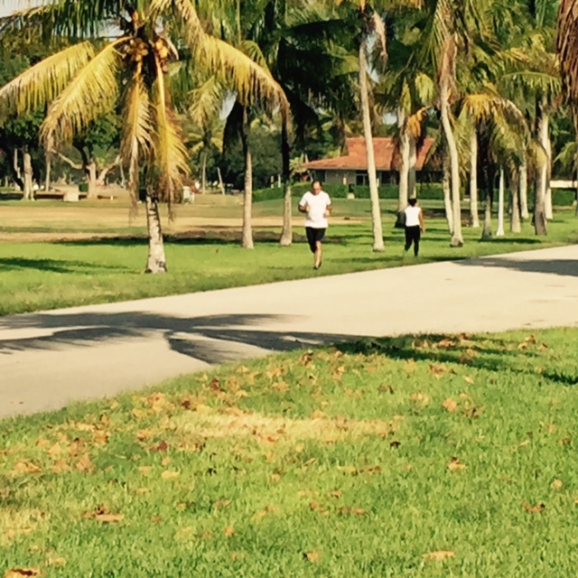 runners on a bright sunny day in Coral Gables