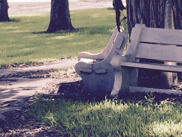 wooden bench for people to sit at under the shade of a tree