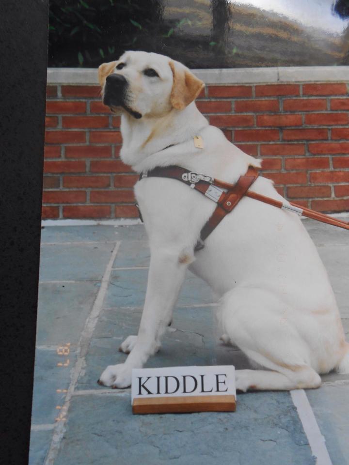 kiddle