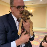 matt in a suit with a tiny brown puppy