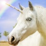 picture of a unicorn and a rainbow