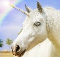 picture of a unicorn and a rainbow