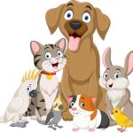 clipart of pets including dogs, cats, birds, and rabbits clipart of pets including dogs, cats, birds, and rabbits