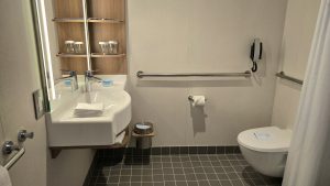 accessible bathroom on a cruise ship showing grap bars